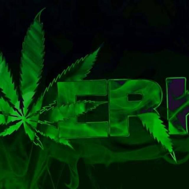 WERK420ENT's picture