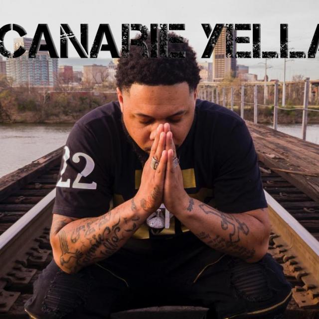 Canarie Yella's picture